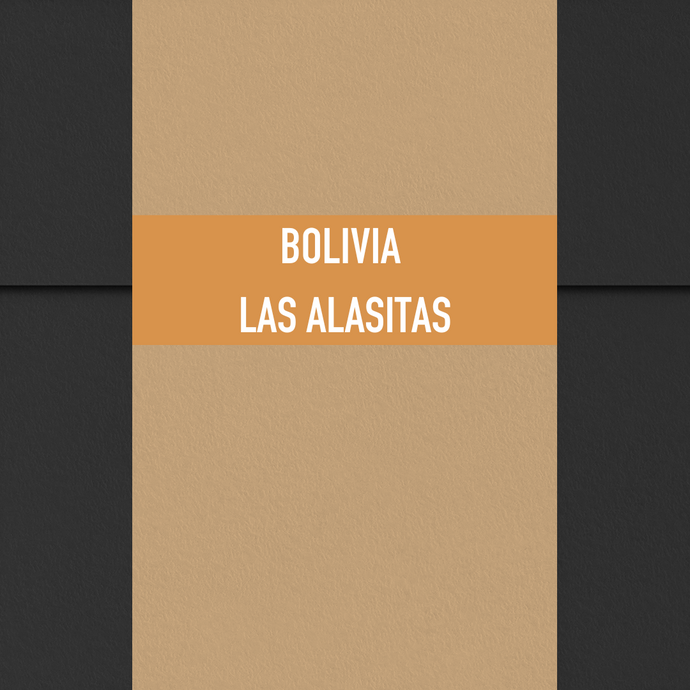 Bolivia Las Alasitas Coco Natural